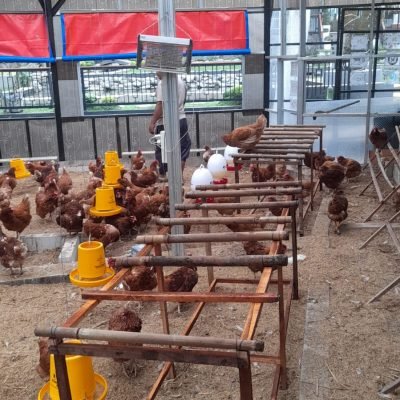 WhatsApp Image 2026-01-19 at 09.07.31