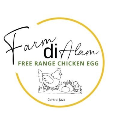 WhatsApp Image 2026-01-29 at 16.39.47