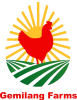 WhatsApp_Image_2025-09-25_at_12.41.10-removebg-preview